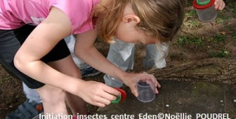 Animation enfant Insecte, qui es-tu ? au Centre Eden - centre éducatif  nature et découverte à Cuisery (71)
